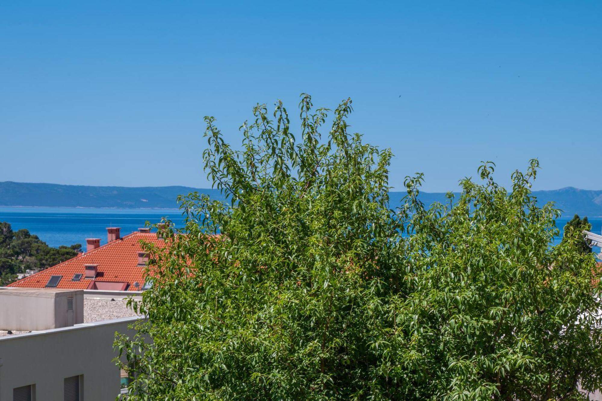 Apartmani Sani Makarska Bagian luar foto